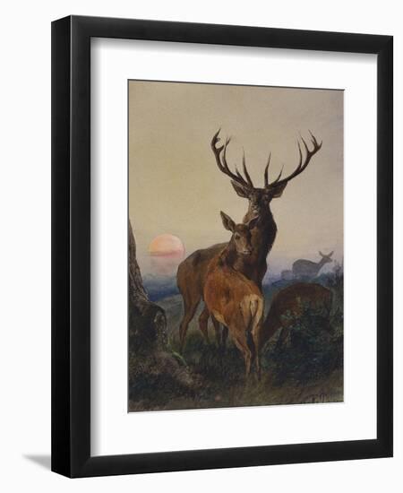 A Stag with Deer in a Wooded Landscape at Sunset-Carl Friedrich Deiker-Framed Giclee Print