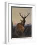 A Stag with Deer in a Wooded Landscape at Sunset-Carl Friedrich Deiker-Framed Giclee Print