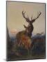 A Stag with Deer in a Wooded Landscape at Sunset-Carl Friedrich Deiker-Mounted Giclee Print
