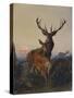 A Stag with Deer in a Wooded Landscape at Sunset-Carl Friedrich Deiker-Stretched Canvas