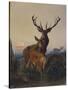 A Stag with Deer in a Wooded Landscape at Sunset-Carl Friedrich Deiker-Stretched Canvas