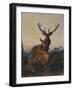 A Stag with Deer in a Wooded Landscape at Sunset-Carl Friedrich Deiker-Framed Giclee Print