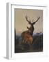 A Stag with Deer in a Wooded Landscape at Sunset-Carl Friedrich Deiker-Framed Giclee Print