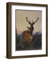 A Stag with Deer in a Wooded Landscape at Sunset-Carl Friedrich Deiker-Framed Premium Giclee Print