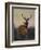 A Stag with Deer in a Wooded Landscape at Sunset-Carl Friedrich Deiker-Framed Premium Giclee Print