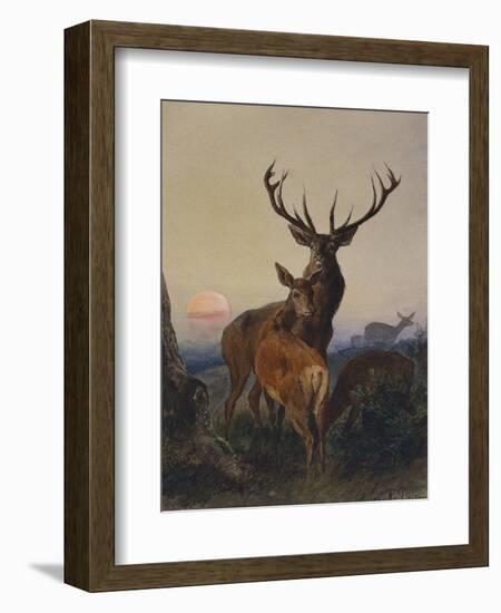 A Stag with Deer in a Wooded Landscape at Sunset-Carl Friedrich Deiker-Framed Premium Giclee Print