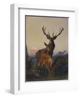 A Stag with Deer in a Wooded Landscape at Sunset-Carl Friedrich Deiker-Framed Premium Giclee Print