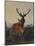 A Stag with Deer in a Wooded Landscape at Sunset-Carl Friedrich Deiker-Mounted Premium Giclee Print