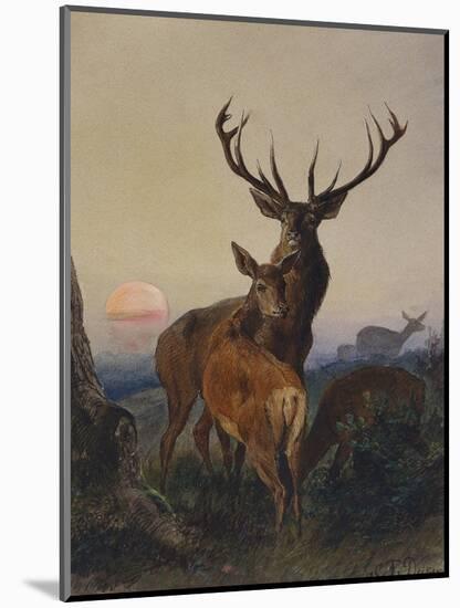 A Stag with Deer in a Wooded Landscape at Sunset-Carl Friedrich Deiker-Mounted Premium Giclee Print