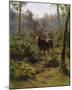 A Stag-Rosa Bonheur-Mounted Giclee Print