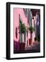 A staircase with large decorative plant pots outside a traditional house-bestravelvideo-Framed Photographic Print