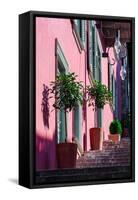 A staircase with large decorative plant pots outside a traditional house-bestravelvideo-Framed Stretched Canvas