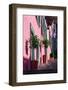 A staircase with large decorative plant pots outside a traditional house-bestravelvideo-Framed Photographic Print