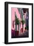 A staircase with large decorative plant pots outside a traditional house-bestravelvideo-Framed Photographic Print
