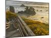 A Stairway Leads to the Beach in Bandon, Oregon, USA-William Sutton-Mounted Photographic Print