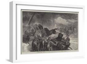 A Stampede from a Wolf-Samuel John Carter-Framed Giclee Print