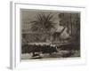 A Stampede of Jackals Through the Environs of Calcutta-null-Framed Giclee Print