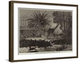 A Stampede of Jackals Through the Environs of Calcutta-null-Framed Giclee Print