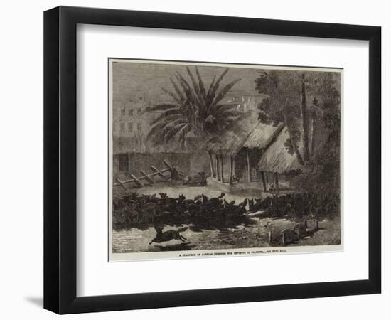 A Stampede of Jackals Through the Environs of Calcutta-null-Framed Giclee Print