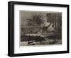 A Stampede of Jackals Through the Environs of Calcutta-null-Framed Giclee Print