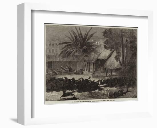 A Stampede of Jackals Through the Environs of Calcutta-null-Framed Giclee Print