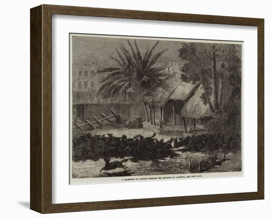 A Stampede of Jackals Through the Environs of Calcutta-null-Framed Giclee Print