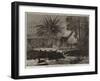 A Stampede of Jackals Through the Environs of Calcutta-null-Framed Giclee Print