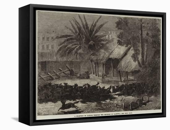 A Stampede of Jackals Through the Environs of Calcutta-null-Framed Stretched Canvas