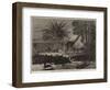 A Stampede of Jackals Through the Environs of Calcutta-null-Framed Premium Giclee Print