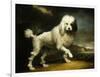 A Standard Poodle in a Coastal Landscape-James Northcote-Framed Giclee Print