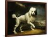 A Standard Poodle in a Coastal Landscape-James Northcote-Framed Giclee Print