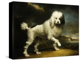 A Standard Poodle in a Coastal Landscape-James Northcote-Stretched Canvas
