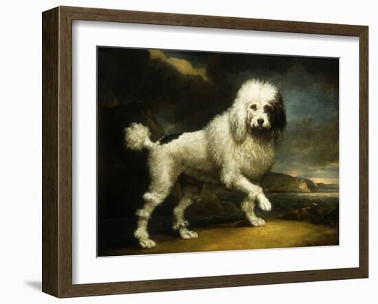 A Standard Poodle in a Coastal Landscape-James Northcote-Framed Giclee Print