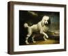 A Standard Poodle in a Coastal Landscape-James Northcote-Framed Giclee Print