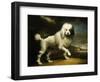 A Standard Poodle in a Coastal Landscape-James Northcote-Framed Giclee Print