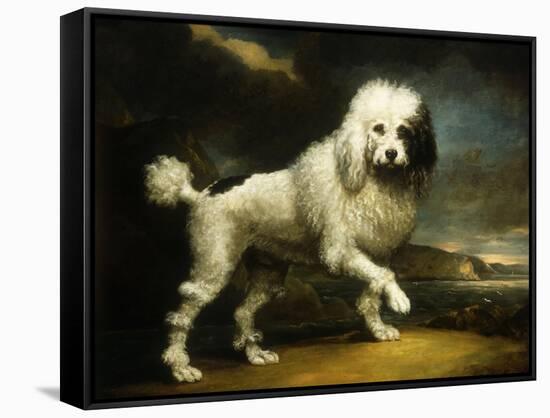 A Standard Poodle in a Coastal Landscape-James Northcote-Framed Stretched Canvas