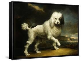 A Standard Poodle in a Coastal Landscape-James Northcote-Framed Stretched Canvas