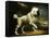 A Standard Poodle in a Coastal Landscape-James Northcote-Framed Stretched Canvas