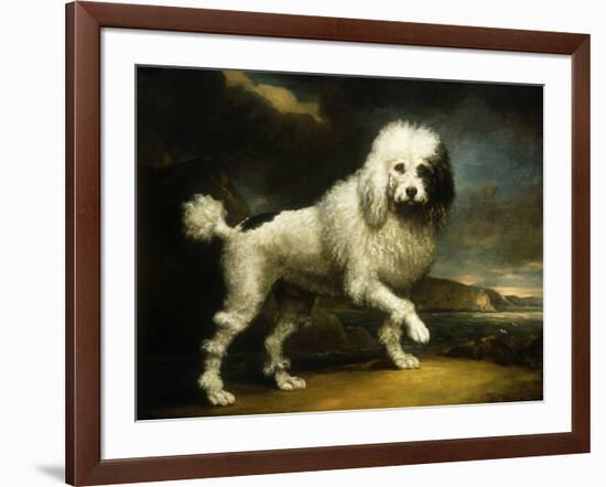 A Standard Poodle in a Coastal Landscape-James Northcote-Framed Giclee Print