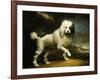 A Standard Poodle in a Coastal Landscape-James Northcote-Framed Giclee Print