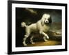 A Standard Poodle in a Coastal Landscape-James Northcote-Framed Giclee Print