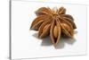 A Star Anise on White Background-Kröger and Gross-Stretched Canvas