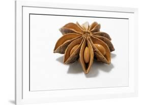 A Star Anise on White Background-Kröger and Gross-Framed Photographic Print