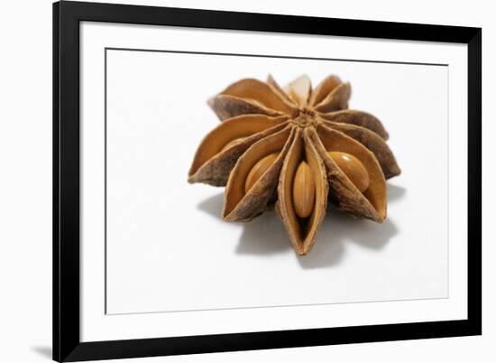 A Star Anise on White Background-Kröger and Gross-Framed Photographic Print