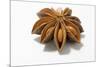 A Star Anise on White Background-Kröger and Gross-Mounted Photographic Print