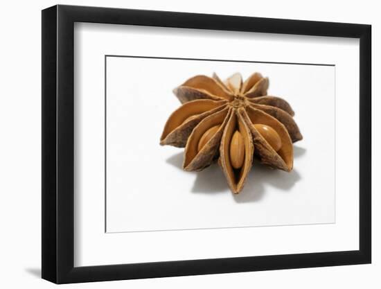 A Star Anise on White Background-Kröger and Gross-Framed Photographic Print