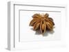 A Star Anise on White Background-Kröger and Gross-Framed Photographic Print