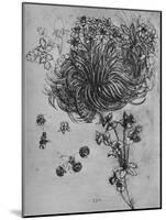 'A Star of Bethlehem and Other Plants', c1480 (1945)-Leonardo Da Vinci-Mounted Giclee Print