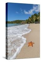 A Starfish Transported by Waves Lying Motionless on Carlisle Bay-Roberto Moiola-Stretched Canvas