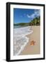 A Starfish Transported by Waves Lying Motionless on Carlisle Bay-Roberto Moiola-Framed Photographic Print